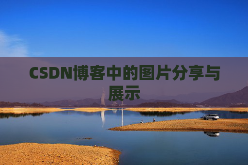 CSDN博客中的图片分享与展示